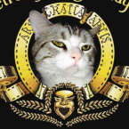 疯猫说影头像