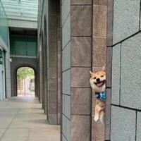 自0调兵5山D头像