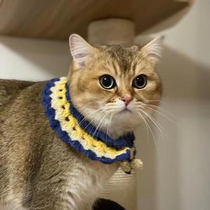 千里走单骑的猫头像