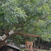 666身体是革命的本钱头像