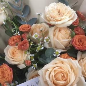 芬芳sunny头像