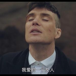 飞天湘狗头像