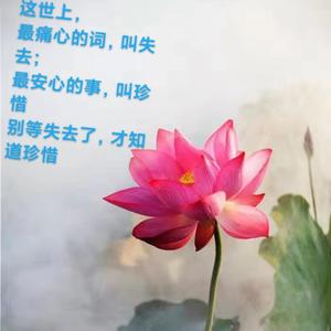 秀佑佑头像