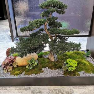 谁知我心头像