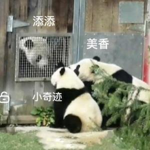 美香添添小奇迹回家6头像