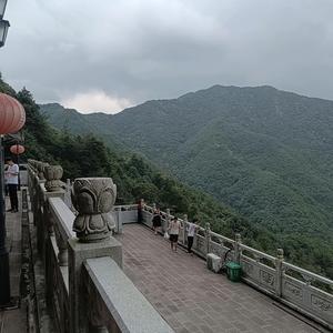 修心头像