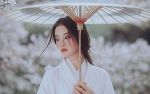 净心纯音乐头像