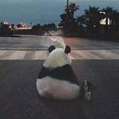 我是蒲生头像