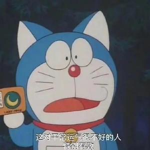 爱看书的博学小猫头像