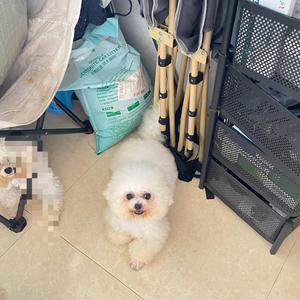不上班的美女头像