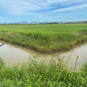 快乐的溪水k4N 头像
