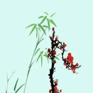 桔子678头像