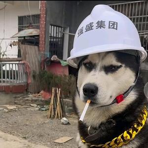 夜来疯886头像