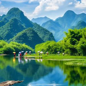 榆柳间观落日头像