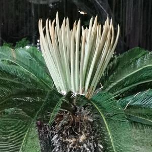 全叔爱生活头像