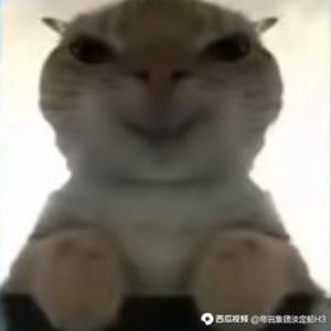 雷诺伊尔头像