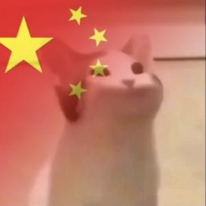 水晶工作室丶联盟灬popo猫反营销号头像