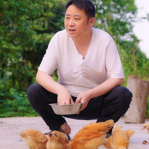 波之森头像