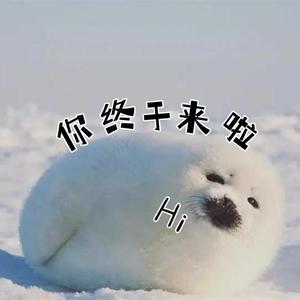 追剧小海豹头像