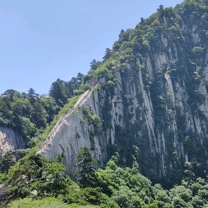 随心所欲随欲而行头像