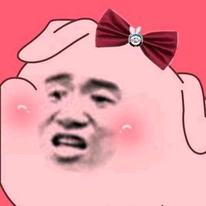 会飞的杨小毛头像