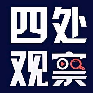 奋发有为奶酪qv头像