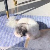 执笔苏头像