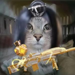 CODM准头像