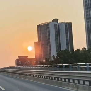 只跟傻子互动头像