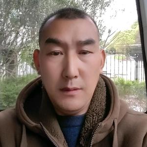 陆哥说媒头像