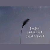 用户8139828459013头像