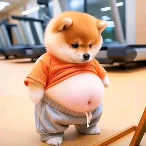 李李幸福小生活头像