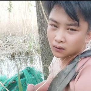 小白果园头像
