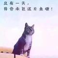 GerlZen头像