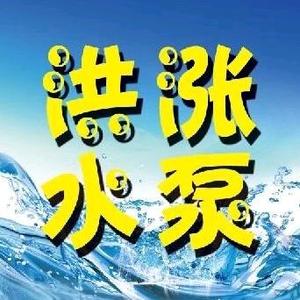 洪涨水式永磁高速潜水泵头像