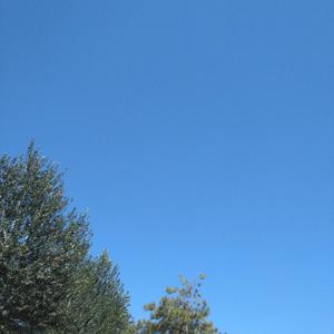 泥土的清新味道头像