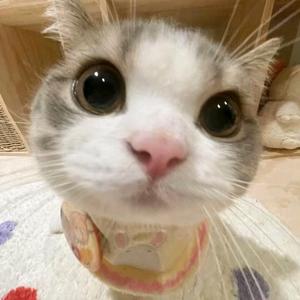 梦醒 头像