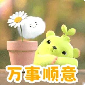 无所谓头像