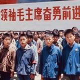 项真鱼头像