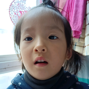 梧桐妹头像