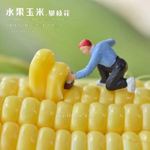 我是笨熊头像