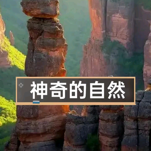 神奇自然头像