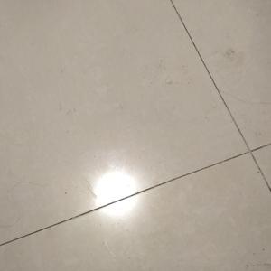 智者布里顿0R2头像