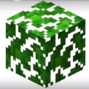 树叶味的柒苗头像