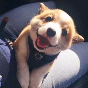 辣椒影视l头像