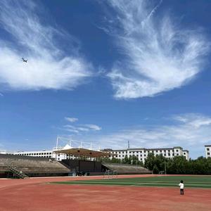 多才鲸鱼40头像