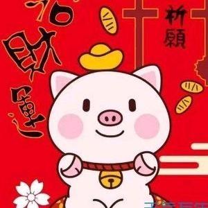 天天最新猪价头像