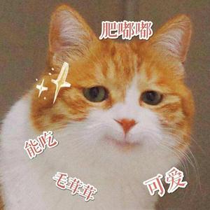 干饭第一喵喵喵头像