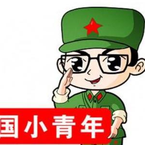 爱国的小青年a头像