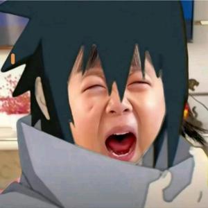 勇往直前是小老虎吖 头像